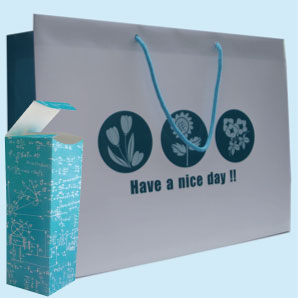 荷風有限公司專業訂製客製化手提紙袋和紙盒.